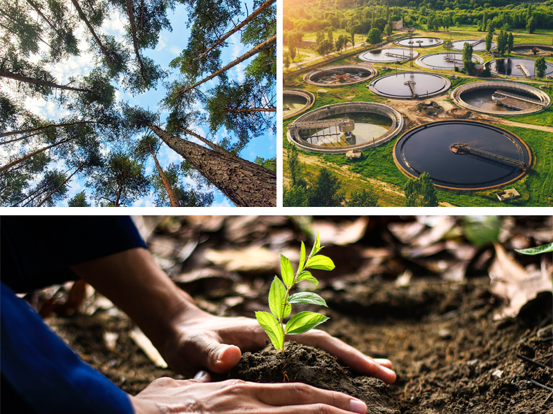 Photos montage nature